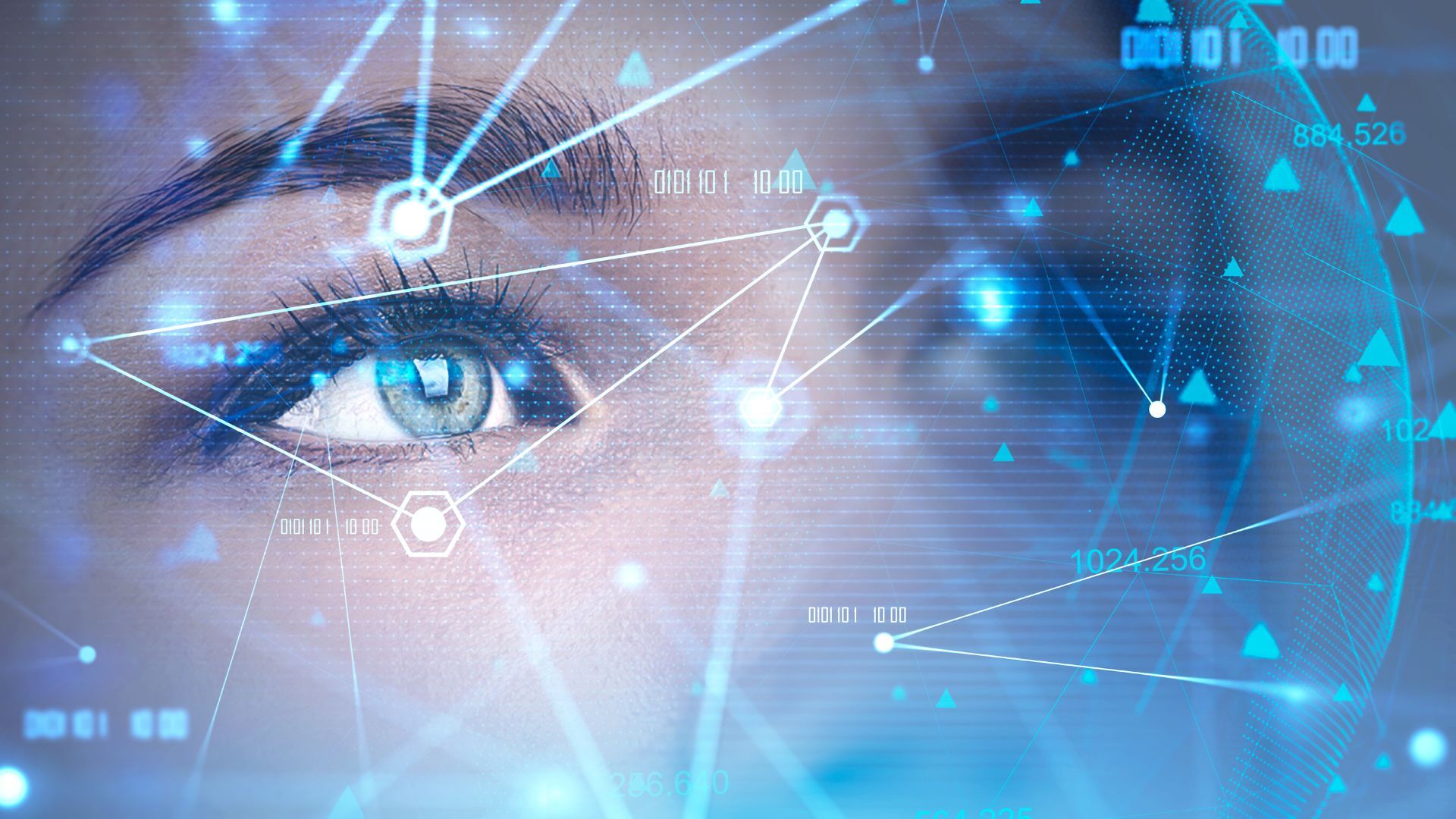 Artificial Intelligence (6)